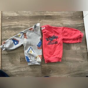 Zara Colorful Graphic Sweatshirts
